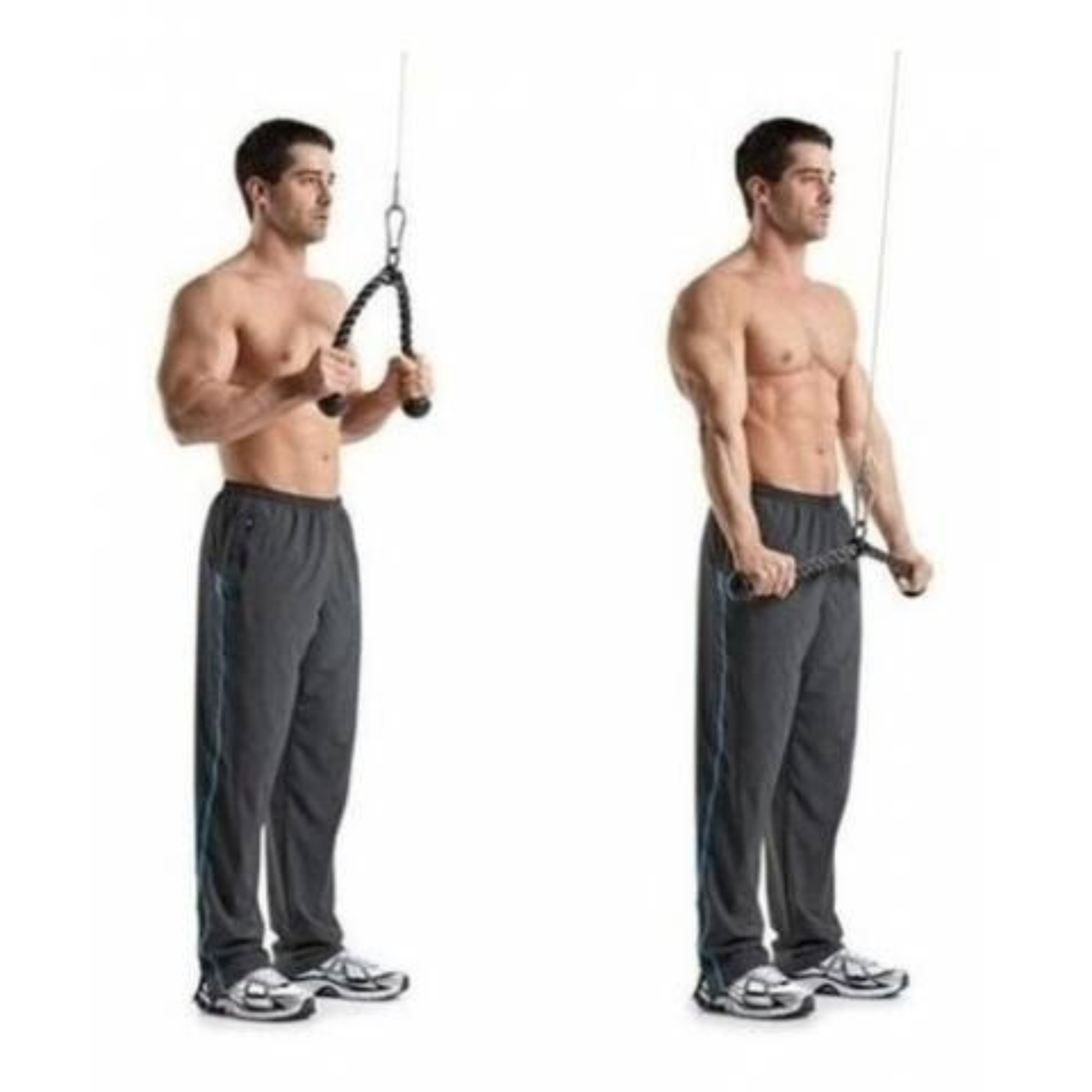 Soga Triceps Doble Agarre Importada N12 Rhino
