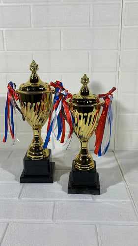 Copa Trofeo De Campeon 29cm Futbol Deportes Varios C Asas Dorado