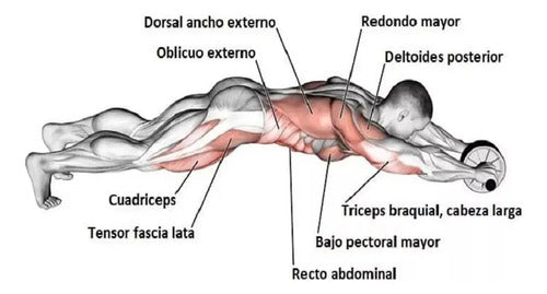 Rueda Abdominales Doble Pro Para Ejercicio Umbro Color Azul
