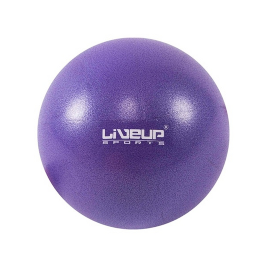 Mini Pelota Pilates Yoga Gym 20cm Livepro