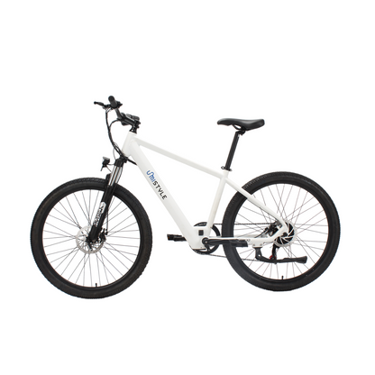 Bicicleta Eléctrica - BE100B