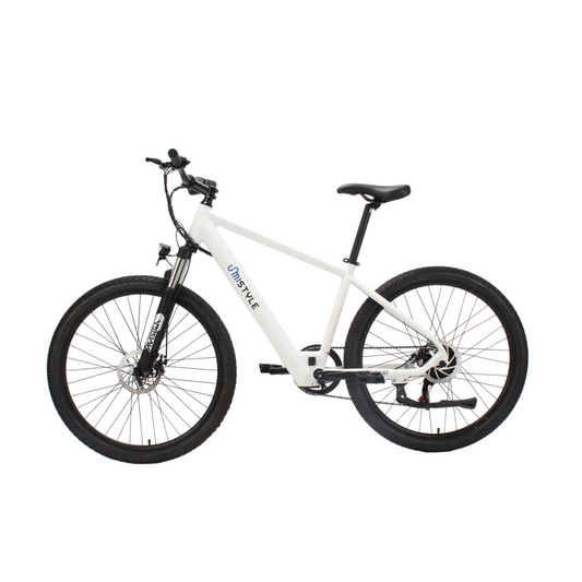 Bicicleta Eléctrica - BE100B