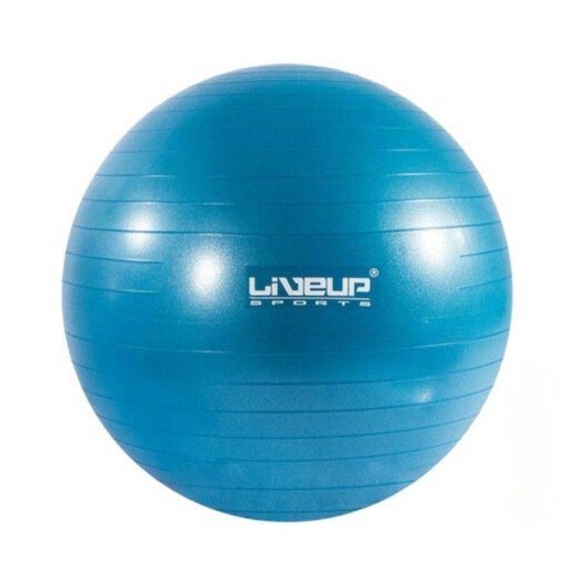 Pelota De Pilates Fitball 55cm Yoga Fitness Gym Livepro