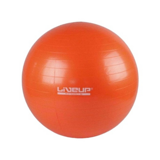 Mini Pelota Pilates Yoga Gym 25cm Livepro