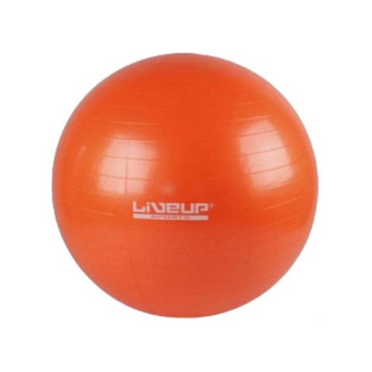 Pelota De Pilates Fitball 65cm Yoga Fitness Gym Livepro