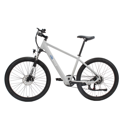 Bicicleta Eléctrica - BE100B