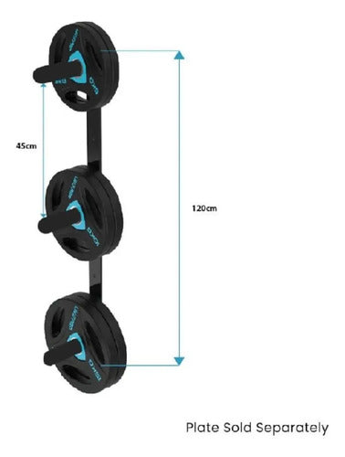 Soporte Para Discos Olímpicos 3 Posiciones Livepro Negro