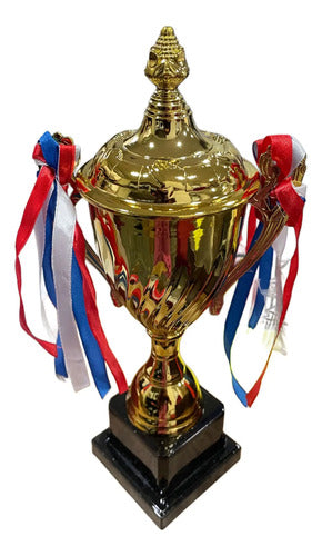 Copa Trofeo De Campeon 33cm Futbol Deportes Varios C Asas Dorado
