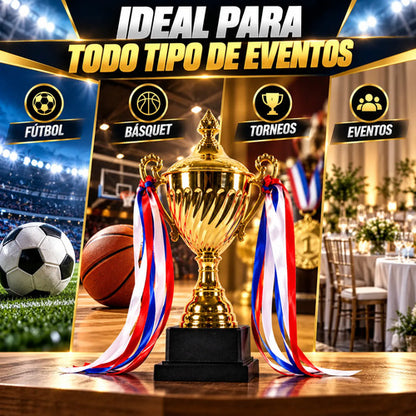 Copa Trofeo Campeón 33 Cm Dorada Con Asas Para Premiación Dorado