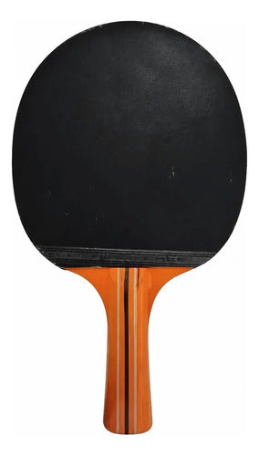 Paleta Ping Pong Tenis De Mesa 2 Estrellas Profesional Negro/rojo Ergonómico