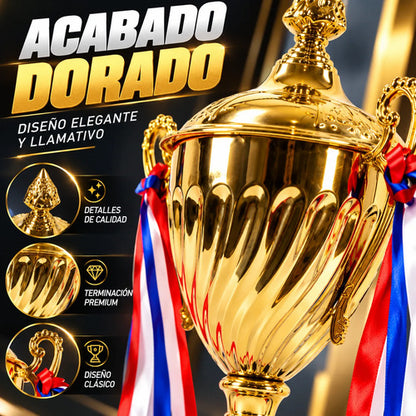 Copa Trofeo Campeón 33 Cm Dorada Con Asas Para Premiación Dorado