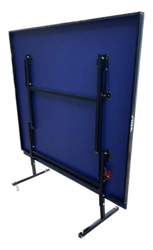 Mesa De Ping Pong Medida Profesional C/ruedas Plegable Azul