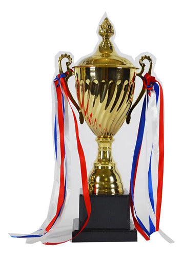 Copa Trofeo De Campeon 29cm Futbol Deportes Varios C Asas Dorado