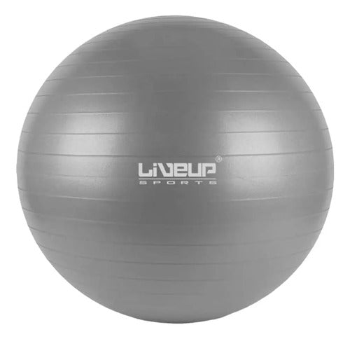 Pelota Pilates Fitball 75cm Livepro Gris