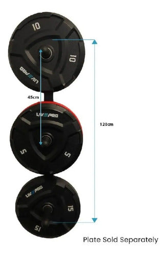 Soporte Para Discos Olímpicos 3 Posiciones Livepro Negro