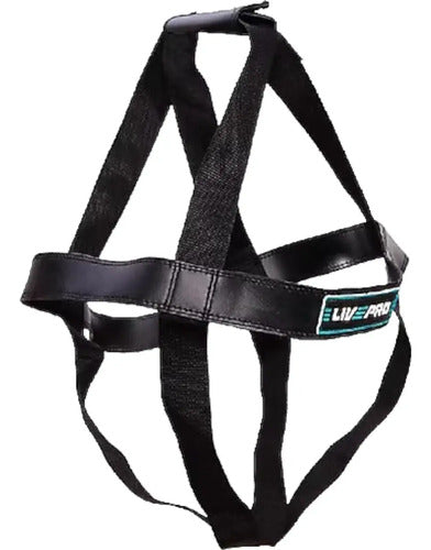 Bolsa Para Agarres Red Wall Ball Gym Fitness - Livepro Negro