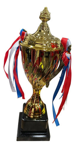 Copa Trofeo De Campeon 33cm Futbol Deportes Varios C Asas Dorado