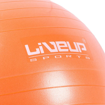 Pelota De Pilates Fitball 65cm Yoga Fitness Gym Livepro Naranja